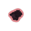Dark CursedCyndaquil